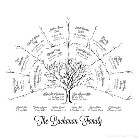 3 Generation Ancestor Family Tree – Branches