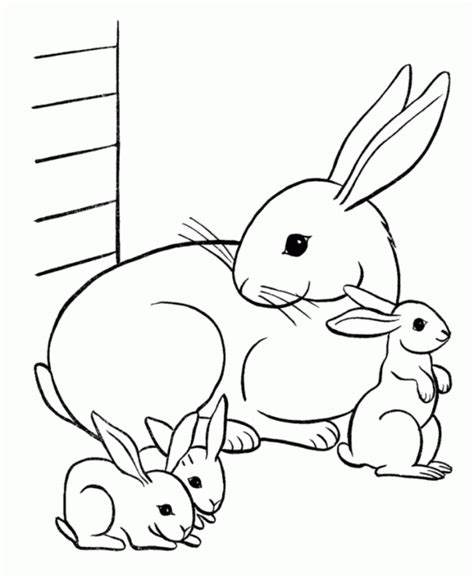 38+ Coloring Pages Of Cute Rabbits | Free Wallpaper