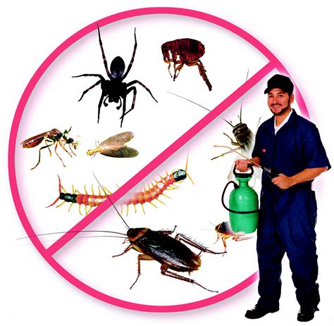 Best Company For Pest Control Service In Bihar, Jharkhand (India ...