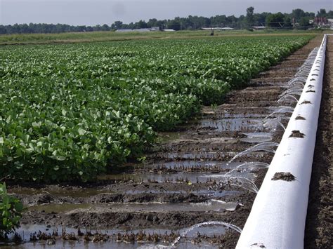 Pipe Planner: The Foundation Water Management Practice for Furrow Irrigated Systems ...