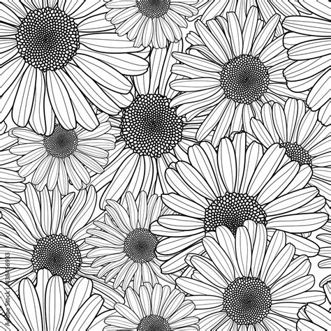 Vector floral seamless pattern. Black and white background with outline hand drawn chamomile ...