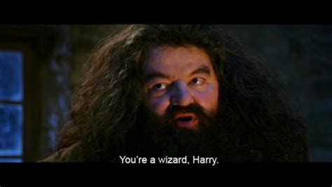 [Image - 316990] | You're A Wizard, Harry! | Know Your Meme