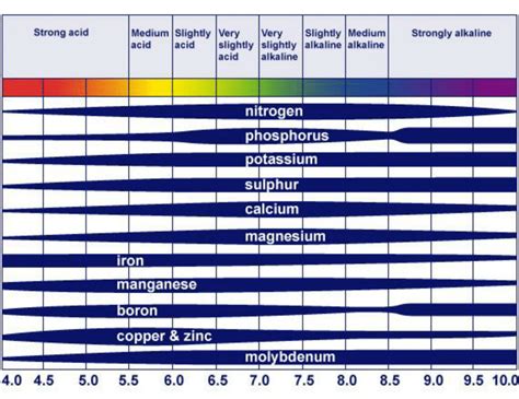 The effect of soil pH on nutrient availability. | Download Scientific Diagram