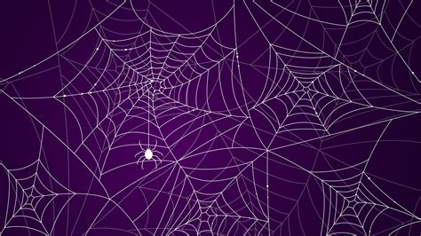 🔥 [64+] Spider Web Backgrounds | WallpaperSafari