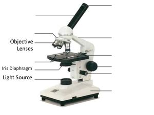 Iris Diaphragm Microscope | Free Images at Clker.com - vector clip art ...