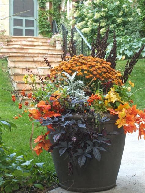 Fall container garden. Need to swap out begonias and put in mums in my planters. | Fall ...