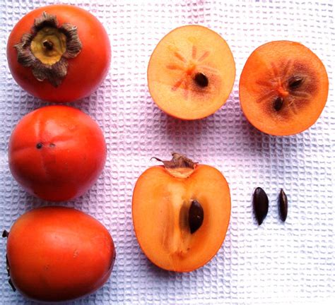 File:Diospyros kaki - fruit & seed.jpg - Wikimedia Commons
