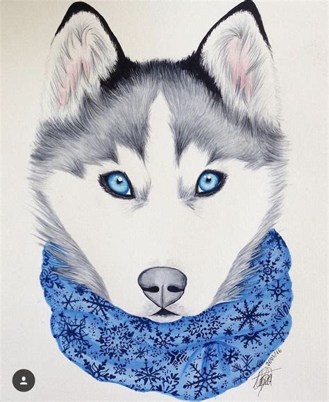 Pin by Diana vasquez on fondos | Husky drawing, Dog illustration, Cute ...