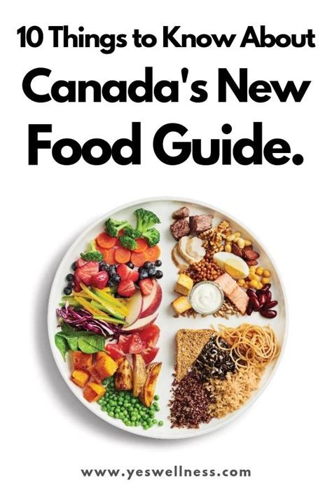 Canada Food Guide Activity Sheets