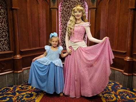 16 Best Places to Buy Disney Princess Dresses