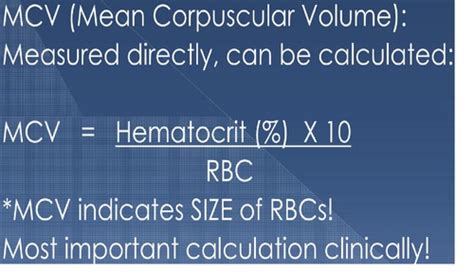 Hematology Flashcards | Quizlet