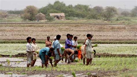 Govt announces subsidies for flood-affected farmers - Economy.pk