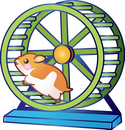 Hamster clipart. Free download transparent .PNG | Creazilla