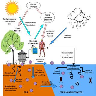 Acute and chronic health effects of toxic chemicals used for ...