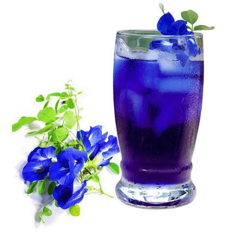 Butterfly Pea, Blue Pea Vine Seeds (Clitoria ternatea) Prijs: -€2.65