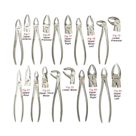 Dental Forceps Chart