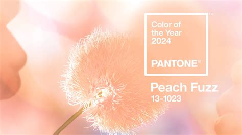 Pantone Color Of The Year 2024 Color Code - Dyann Grissel