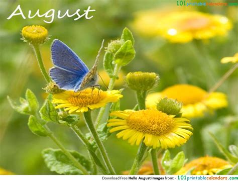 August Month Flower Name