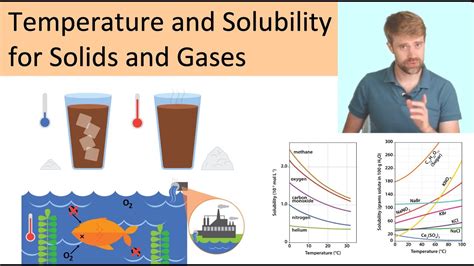 What Is The Effect Of Temperature On The Solubility Of A Solid In A Liquid With A Hypothesis ...