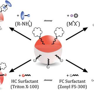 A) Schematic representation of crown‐ether functionalized Janus... | Download Scientific Diagram