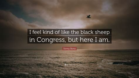 Sonny Bono Quote: “I feel kind of like the black sheep in Congress, but here I am.”