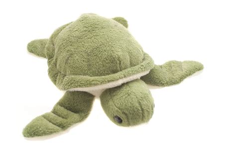 Free Stock Photo 11958 Cute green plush turtle toy | freeimageslive