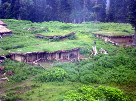 Gujjar settlement at Gulmarg |Search Kashmir