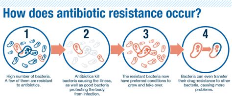 What is antibiotic resistance: everything you need to know