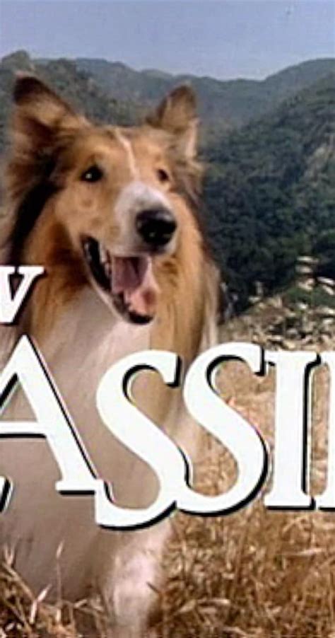 The New Lassie (TV Series 1989–1992) - Connections - IMDb