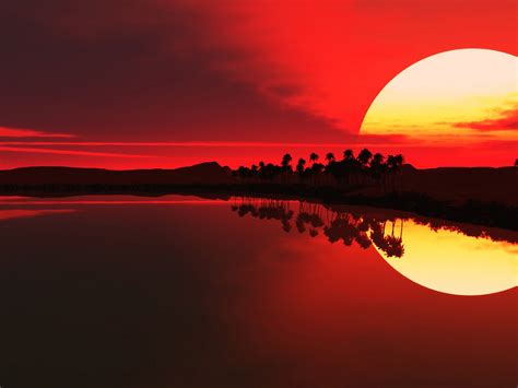 Oasis Sunset ~ For Manifesting in the Physical & Opening to Abundance ...