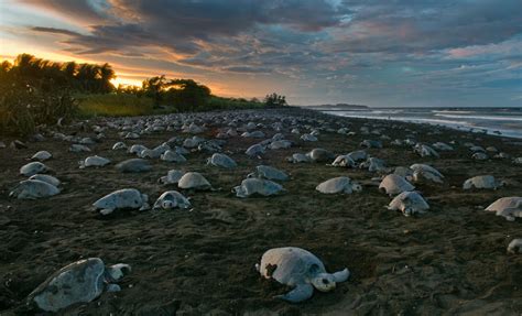 Costa Rica Top 5 Natural Wonders