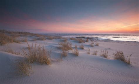 Sunset at Cape May Point Pyrography by Richard Pope - Fine Art America