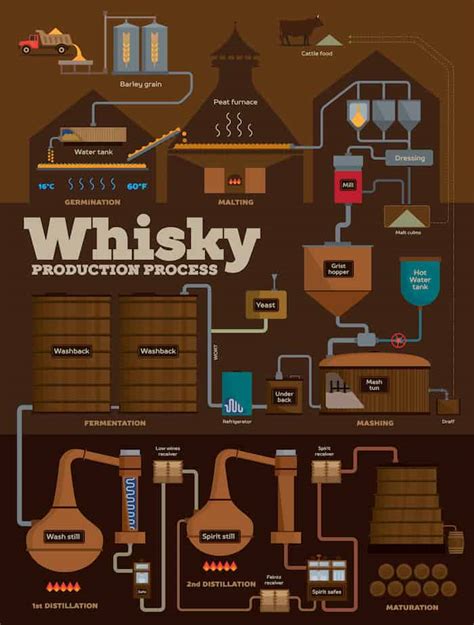 The Whisky Distillation Process in One Simple Infographic - The Whiskey Wash