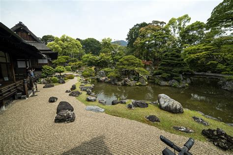 What is a Japanese zen garden and how do they promote mindfulness? – Agriculture Monthly