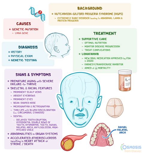 Progeria: What Is It, Causes, Clinical Presentation, and More | Osmosis