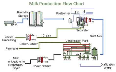 Milk Production Process Flow Chart: A Visual Reference of Charts | Chart Master