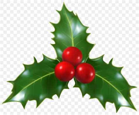 Mistletoe Christmas Common Holly Clip Art, PNG, 6313x5231px, Common Holly, Aquifoliaceae ...