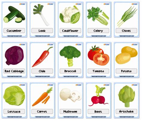 Vegetables Vocabulary Flashcards - Worksheets Planet