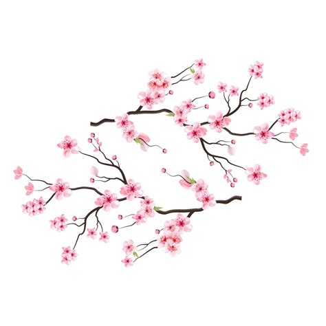 Cherry Blossom Spring Flower Branch – MasterBundles