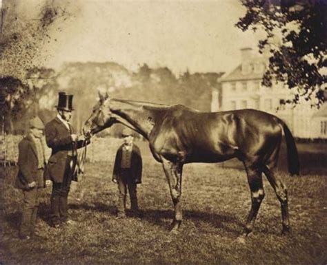 Oldest racehorse photographs | Sunday Silenced