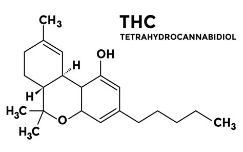 What is THC? | Cannabis Glossary | Leafly