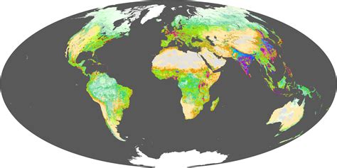 Human Ecosystems : Image of the Day