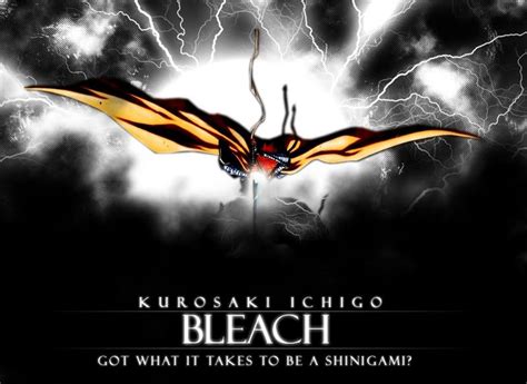 Got What It Takes To Be A Shinigami? - Bleach Anime Photo (40011) - Fanpop