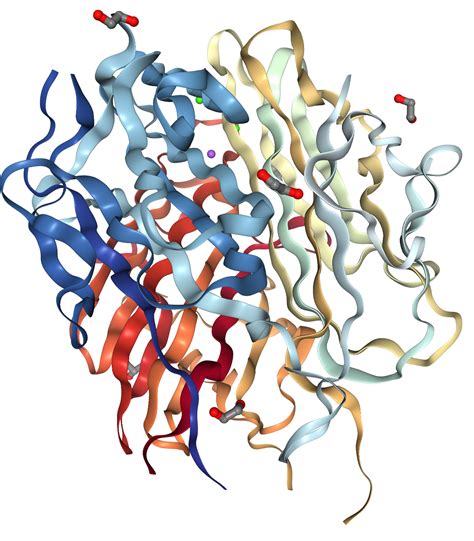 Adiponectin Protein Overview | Sino Biological