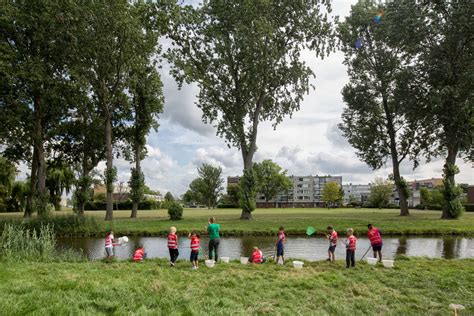 Hoogvliet-Noord | Start je zoektocht op Wonen in Rotterdam