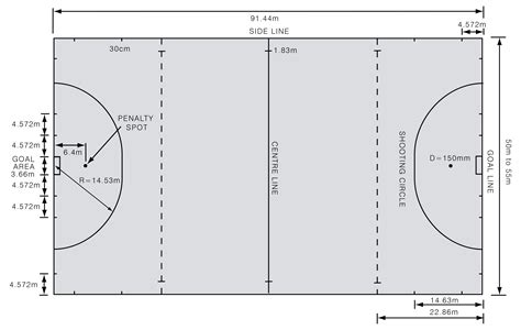 Draw A Neat Labelled Diagram Of The Hockey Field With - vrogue.co