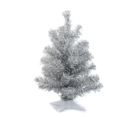Photo of undecorated tree | Free christmas images