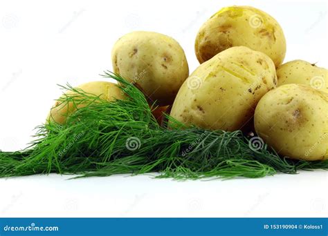 On the Green Fresh Dill is Potatoes, Cooked with the Peel Stock Photo ...