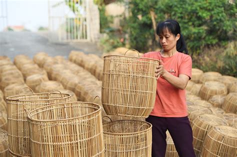 What is Wicker Rattan? Types Of Rattan Materials - SEO Sakti