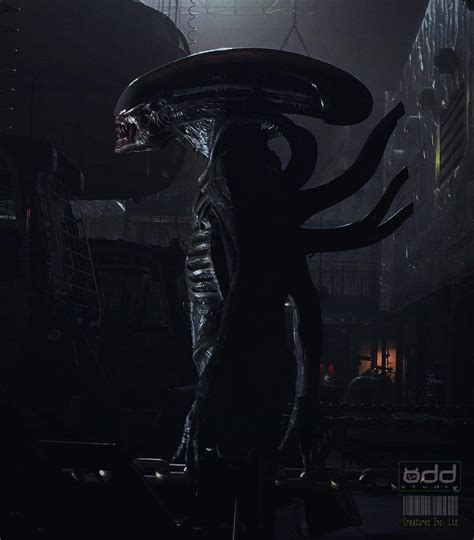 Alien Covenant Xenomorph suit (Rare Photo) (Alien: Covenant Movie Image Gallery)